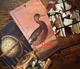 New Deck Feature! Folkloric Forest Tarot